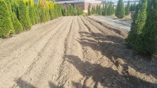 김동명님의 기타작물 · 영농일지 작성글 사진