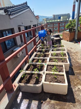 박주희님의 기타작물 · 영농일지 작성글 사진