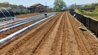 박순덕님의 작성글 사진