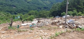 반성식님의 기타작물 · 영농일지 작성글 사진