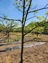 임성욱님의 작성글 사진