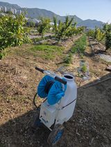 정영석님의 작성글 사진