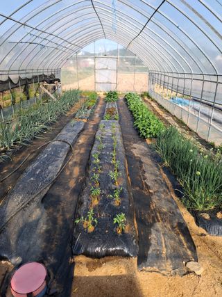 백영호님의 기타작물 · 영농일지 작성글 사진