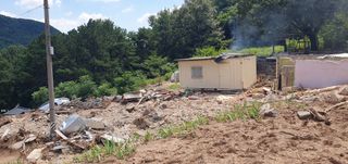 반성식님의 기타작물 · 영농일지 작성글 사진