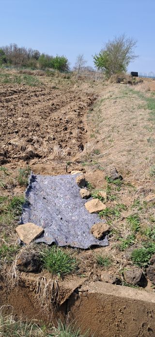 이복길님의 기타작물 · 영농일지 작성글 사진