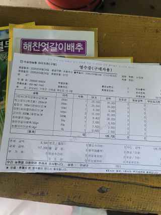 왕초보농부 이금녀님의 작성글 사진