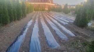 김동명님의 기타작물 · 영농일지 작성글 사진