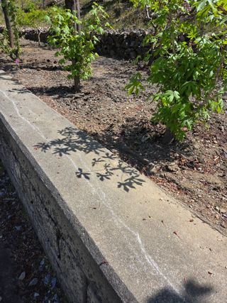 김용대님의 기타작물 · 영농일지 작성글 사진