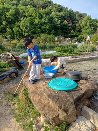 신 난다님의 고추 · 영농일지 작성글 사진