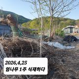 팜모닝 기타작물·영농일지 게시글 이미지