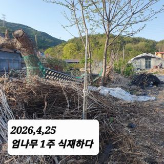시민농장님의 기타작물 · 영농일지 작성글 사진