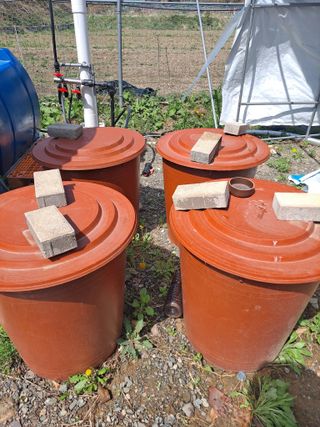 이한재님의 고추 · 영농일지 작성글 사진