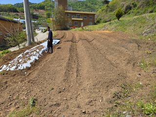 윤자용11대임후회장님의 기타작물 · 영농일지 작성글 사진