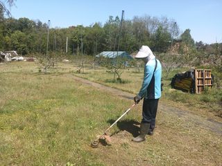 엄후남님의 작성글 사진