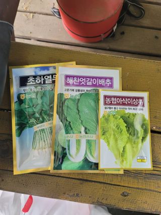 왕초보농부 이금녀님의 기타작물 · 영농일지 작성글 사진