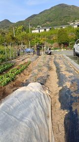 신 난다님의 작성글 사진