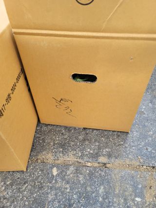 왕초보농부 이금녀님의 기타작물 · 영농일지 작성글 사진