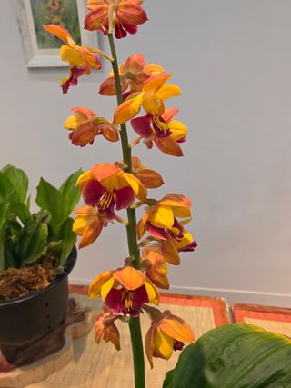 이성규 님의 기타작물 · 영농일지 작성글 사진