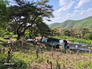박성균님의 기타작물 · 영농일지 작성글 사진