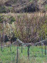 양파12861님의 작성글 사진