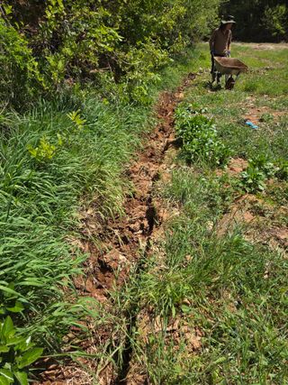 김정은님의 기타작물 · 영농일지 작성글 사진