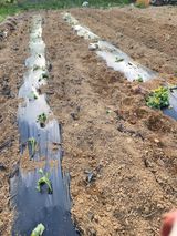 박병한님의 작성글 사진