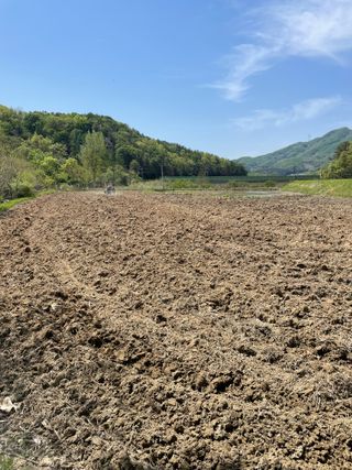 별@노래농장(정씨)님의 벼 · 영농일지 작성글 사진