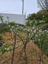 써니님의 작성글 사진