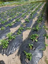 김해열님의 작성글 사진