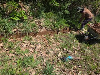 김정은님의 기타작물 · 영농일지 작성글 사진