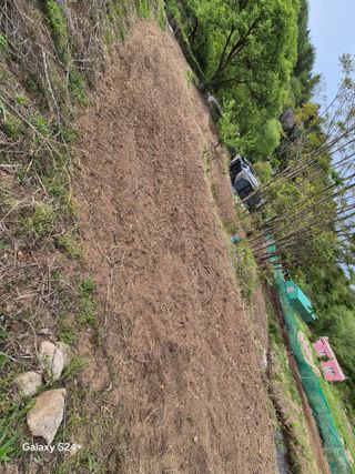 진문거사님의 기타작물 · 영농일지 작성글 사진