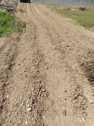 상추20832님의 기타작물 · 영농일지 작성글 사진