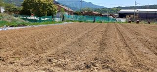 남궁봉님의 기타작물 · 영농일지 작성글 사진