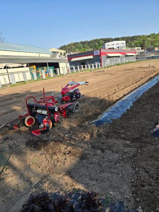 뚜벅이님의 기타작물 · 영농일지 작성글 사진