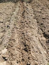 루라121(임동구)님의 작성글 사진