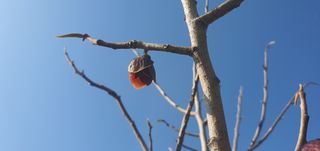 박상중님의 기타작물 · 영농일지 작성글 사진