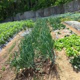 김건우님의 작성글 사진