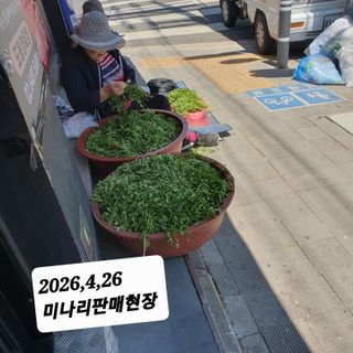 시민농장님의 기타작물 · 영농일지 작성글 사진