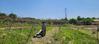 돈디아고(김덕수)님의 기타작물 · 영농일지 작성글 사진