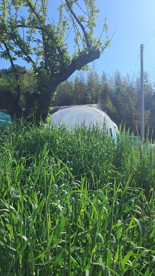 bpjh9173님의 기타작물 · 영농일지 작성글 사진