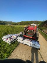 별@노래농장(정씨)님의 작성글 사진