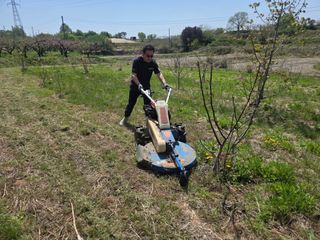 돈디아고(김덕수)님의 기타작물 · 영농일지 작성글 사진