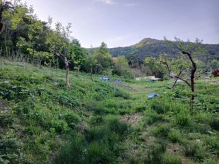 김윤철님의 기타작물 · 영농일지 작성글 사진