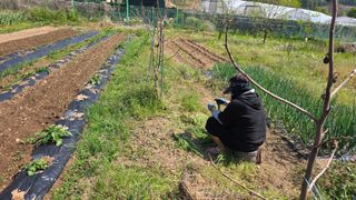 정인재님의 파 · 영농일지 작성글 사진