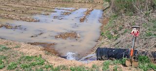이복길님의 기타작물 · 영농일지 작성글 사진