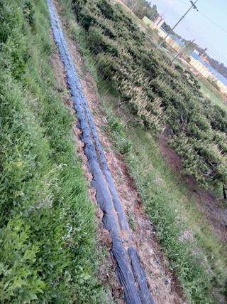 성재엄마님의 기타작물 · 영농일지 작성글 사진