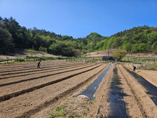 최미선님의 기타작물 · 영농일지 작성글 사진