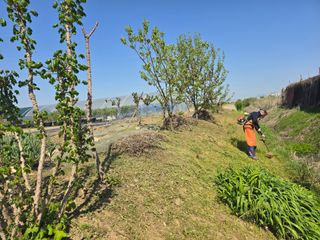 비타민님의 블루베리 · 영농일지 작성글 사진