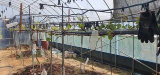 박상중님의 기타작물 · 영농일지 작성글 사진