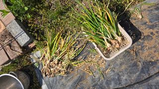 정인재님의 작성글 사진